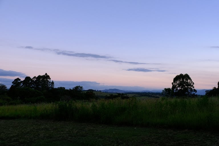 Peaceful twilight landscape with trees silhouetted against a pastel sky.