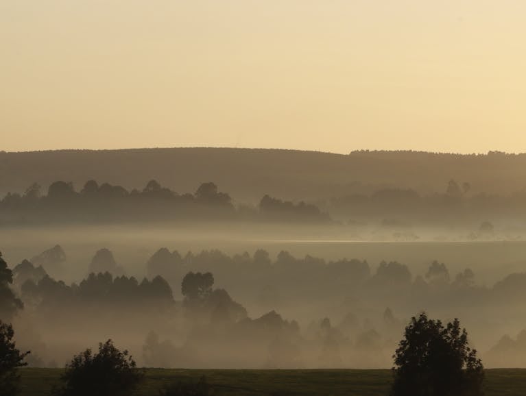 Serene misty hills at sunrise create a calming and ethereal landscape view.