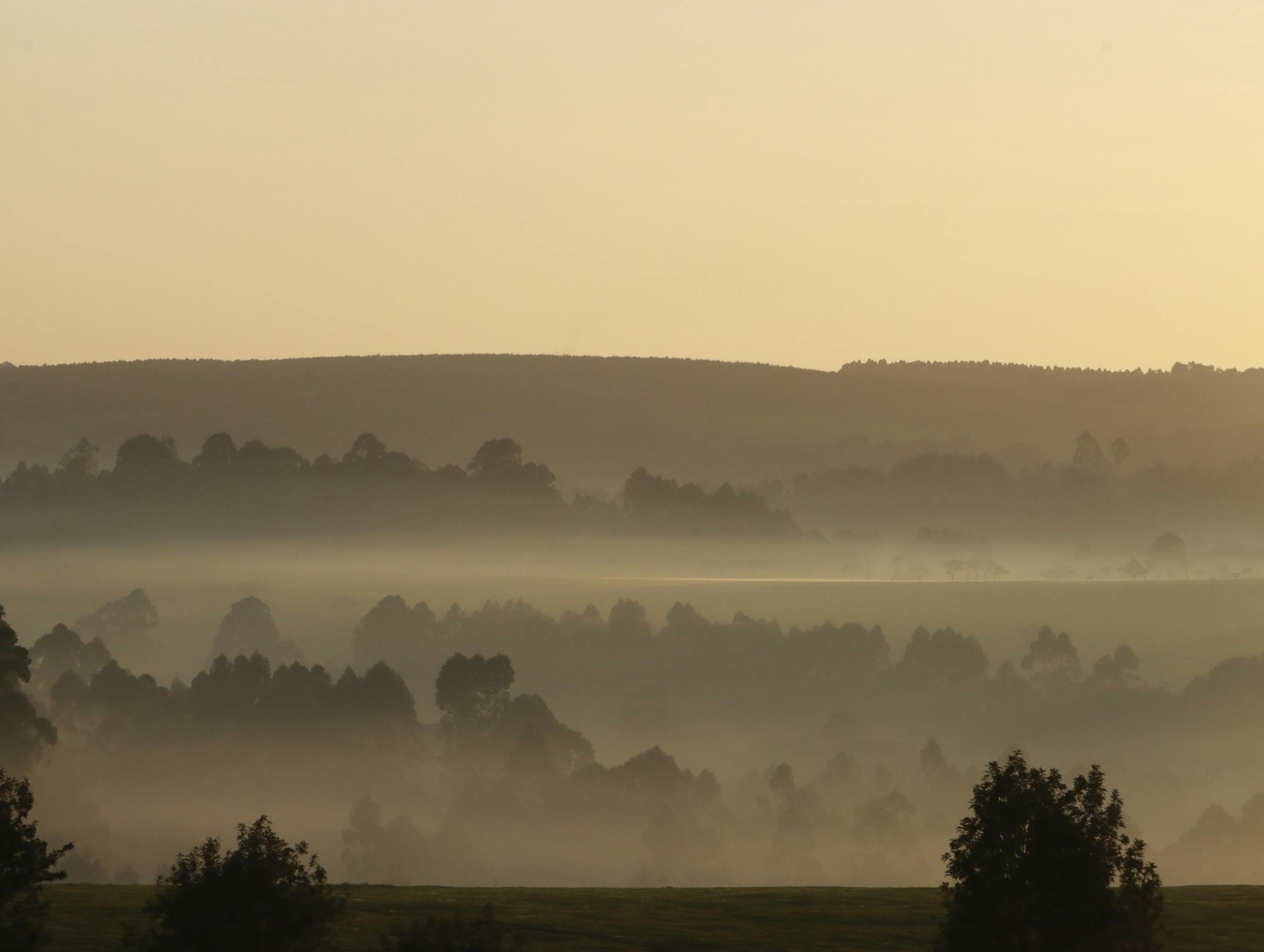 Serene misty hills at sunrise create a calming and ethereal landscape view.