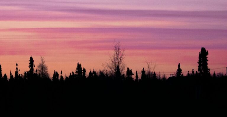 Captivating purple and pink sky at sunset over silhouetted trees creating a serene landscape.