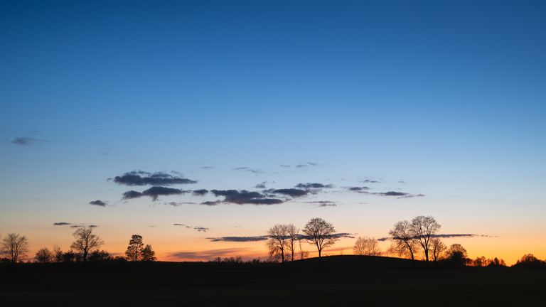 Serene rural sunset showcasing silhouettes of bare trees against a colorful sky.