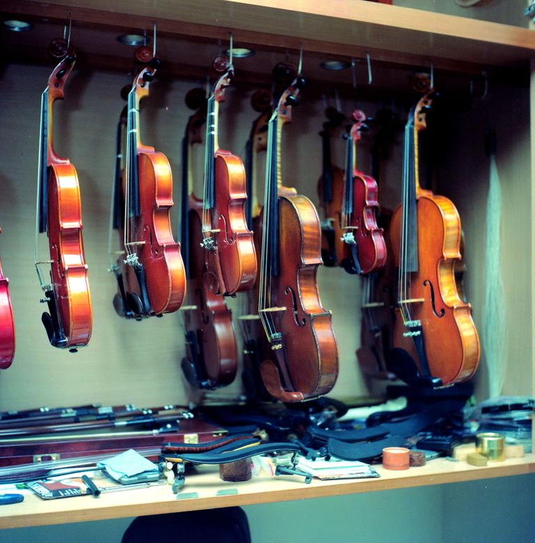 A selection of violins hanging in a workshop, displaying craftsmanship.